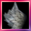 HP Wing (Premium)                                 